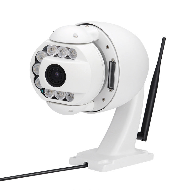 PTZ Dome Outdoor IP Camera 